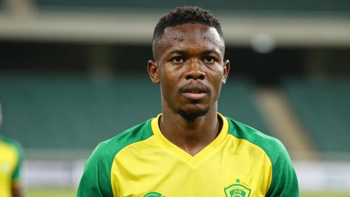 A detailed look at the Lamontville Golden Arrows FC squad for the 2026/27 season, including age profile and international...